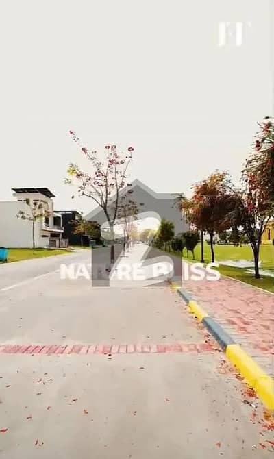 Faisal Hills Block D 25*50 Plot For Sale On Good Location First Come First Available This Big Opertuinty